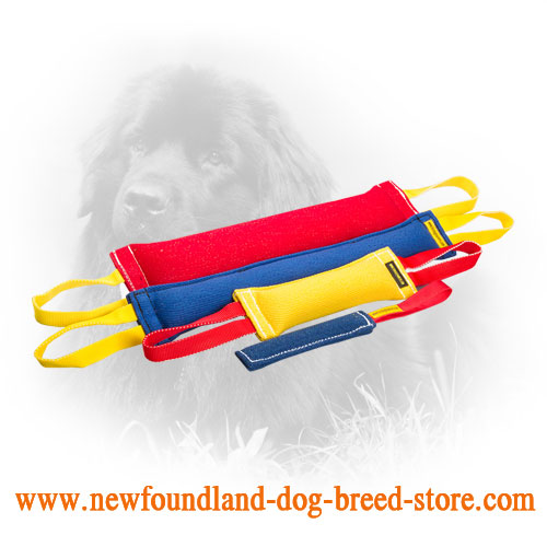 French Linen Newfoundland Bite Training Set for Adult Dogs