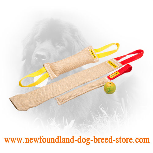 Jute Newfoundland Bite Training Set of 4 Tools