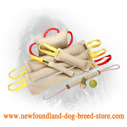 Jute Newfoundland Bite Training Set of 9 Dog Items
