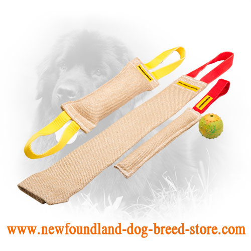 Jute Newfoundland Bite Training Set for Puppies