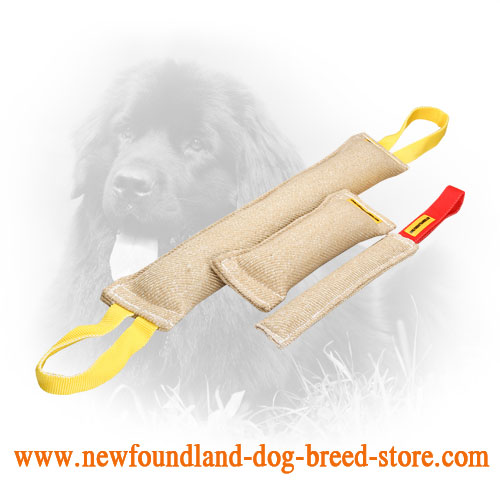 Jute Newfoundland Bite Training Set for Basic Training