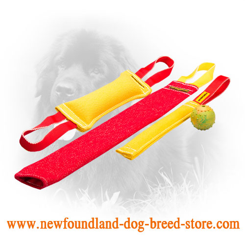 French Linen Newfoundland Bite Training Set for Young Dogs