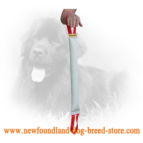 Extra Durable Newfoundland Bite Tug for Bite Work