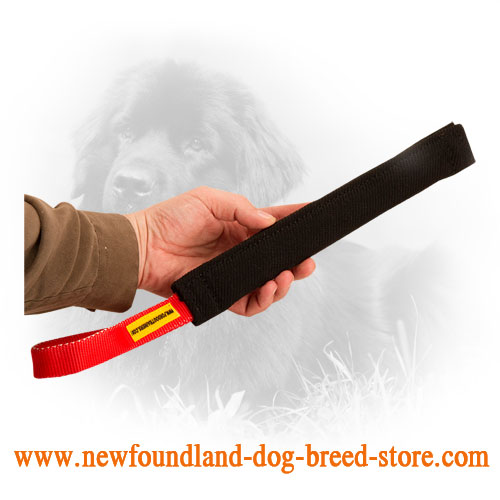 Long Newfoundland Bite Tug with One Handle