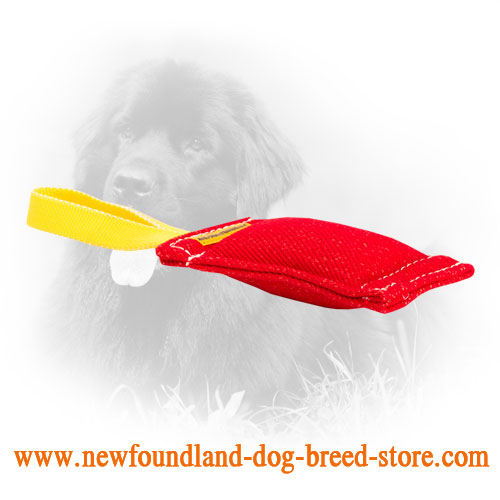 French Linen Newfoundland Bite Tug for Puppy Training