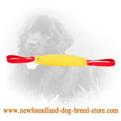 Durable Newfoundland Bite Tug with Two Handles