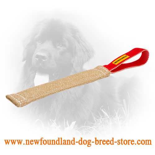 Jute Newfoundland Bite Tug for Developing Bite Skills