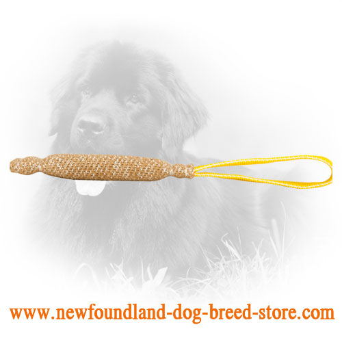 Jute Newfoundland Bite Tug with Comfortable Handle