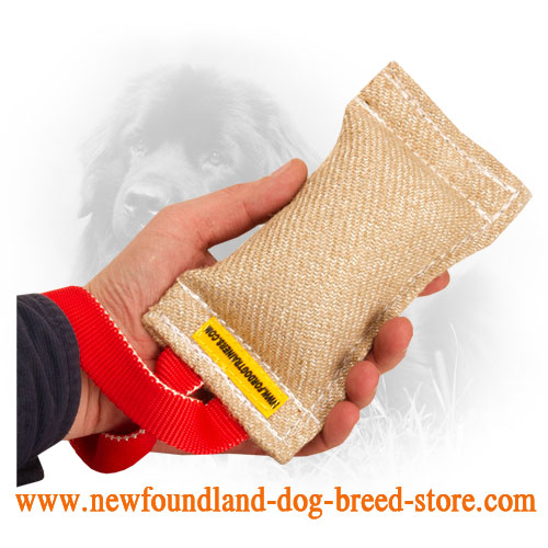 Jute Newfoundland Bite Tug with Comfortable Handles