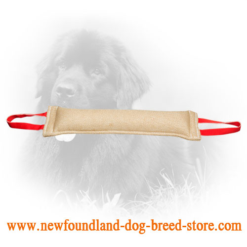 Jute Newfoundland Bite Tug for Bite Grip Training