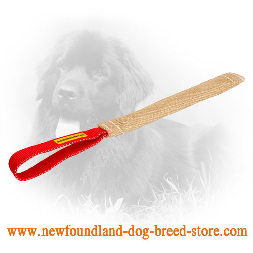 Durable Newfoundland Bite Tug with Comfortable Handle