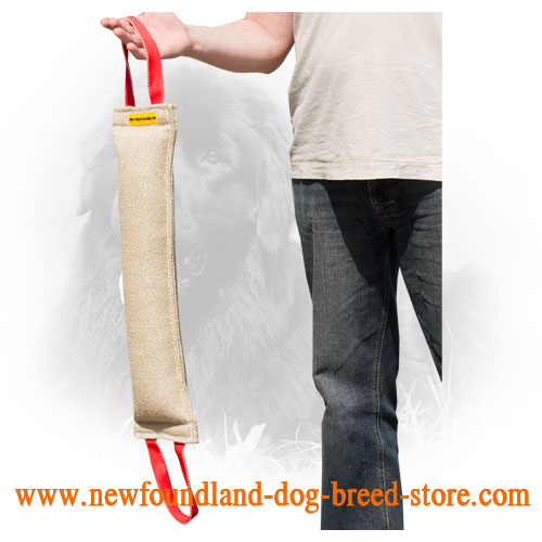 Jute Newfoundland Bite Tug with Two Durable Handles