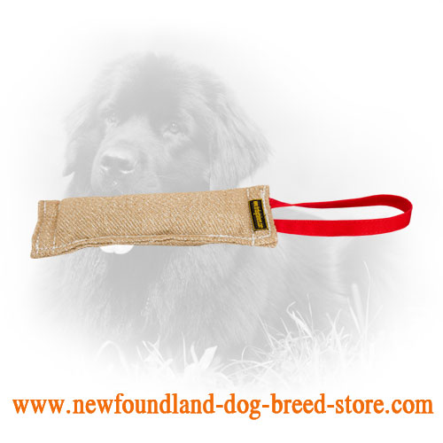 Jute Newfoundland Bite Tug with One Handle