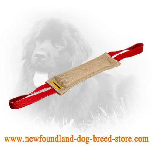 Jute Newfoundland Bite Tug with Two Nylon Handles