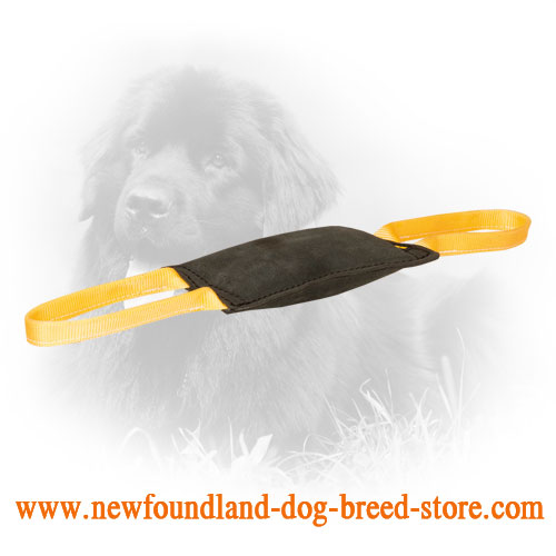 Leather Newfoundland Bite Tug with Nylon Strong Handles