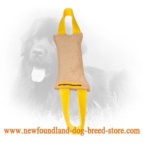 Easy to Use Newfoundland Bite Tug with Comfortable Handles