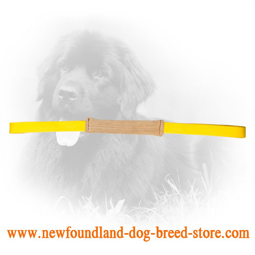 Small Newfoundland Bite Tug with Nylon Handles