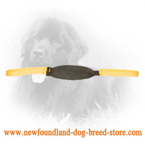 Newfoundland Bite Tug for Basic Training