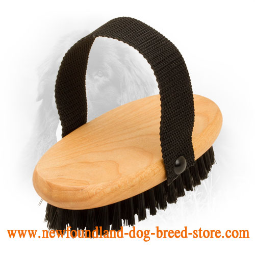 Newfoundland Brush with Nylon Handle for Comfy Use