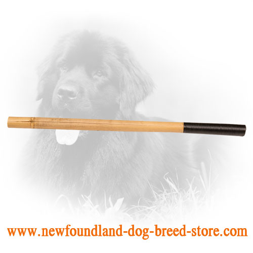Newfoundland Stick for Schutzhund Training