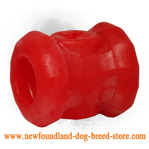 Chewing Everlasting Newfoundland Toy for Fast Eaters