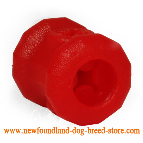 Chewing Everlasting Newfoundland Toy