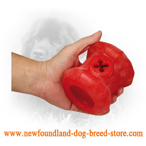 Rubber Newfoundland Toy for Chewing