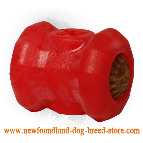 Dog-Safe Chewing Rubber Newfoundland Toy