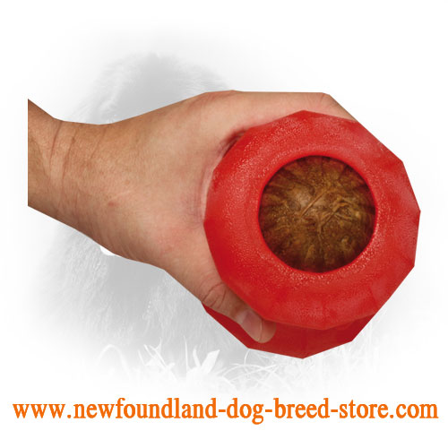 Rubber Newfoundland Toy Non-Toxic