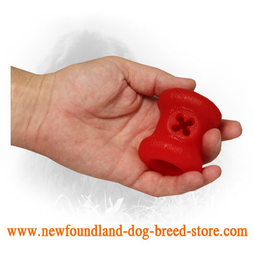 Dog-Safe Rubber Newfoundland Toy with Treats