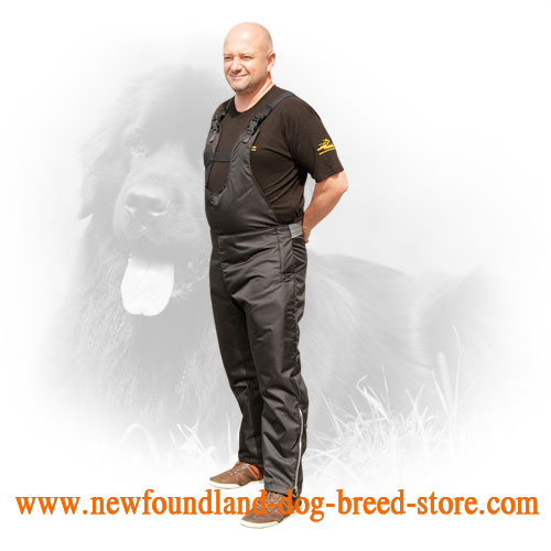 Nylon Protection Scratch Pants for Newfoundland Schutzhund Training