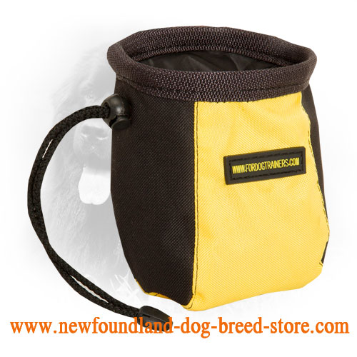 Hands-Free Nylon Dog Treat Bag for Feeding Your Newfoundland