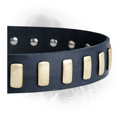 Brass Plates on Newfoundland Dog Leather Collar