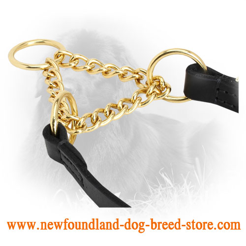 Newfoundland Martingale Collar with Durable Leather Part