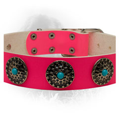 Nickel Plated Decorated Circles on Pink Newfoundland Collar