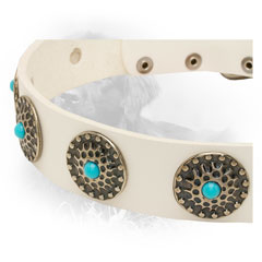Nickel Plated Decorated Circles on White Newfoundland Collar