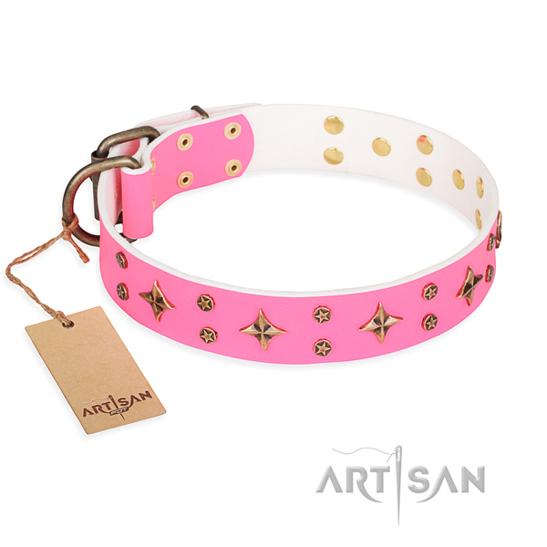 Impressive genuine leather dog collar for daily use