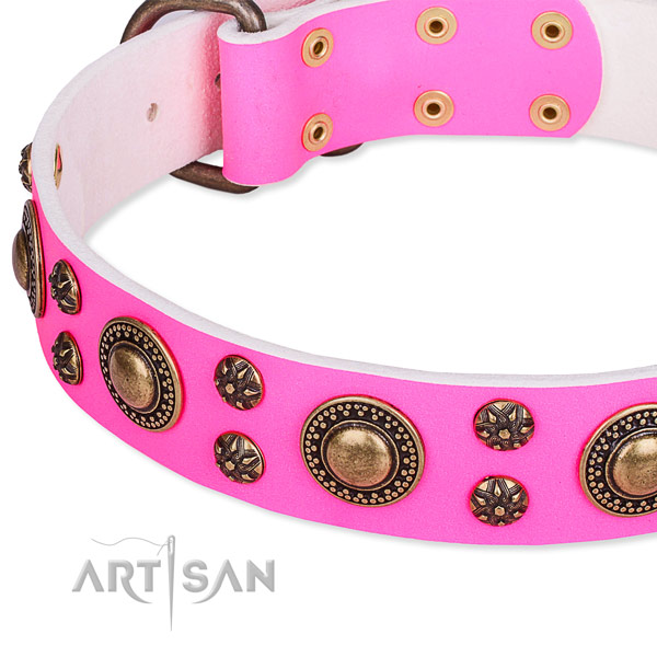 Natural genuine leather dog collar with amazing embellishments