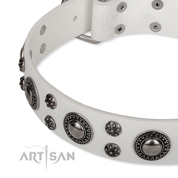 Everyday walking full grain natural leather collar with rust resistant buckle and D-ring