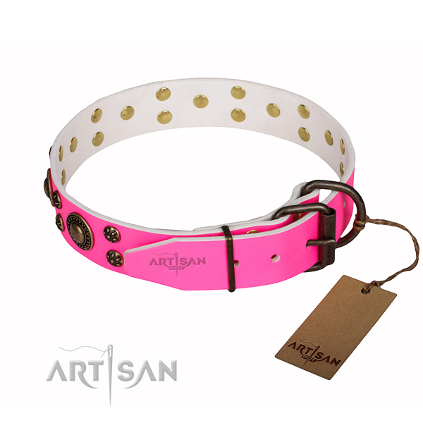 Exquisite full grain leather dog collar for daily walking