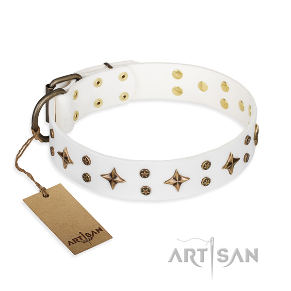 Exquisite leather dog collar for everyday use