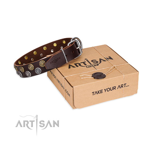 Full grain leather dog collar with studs for daily walking