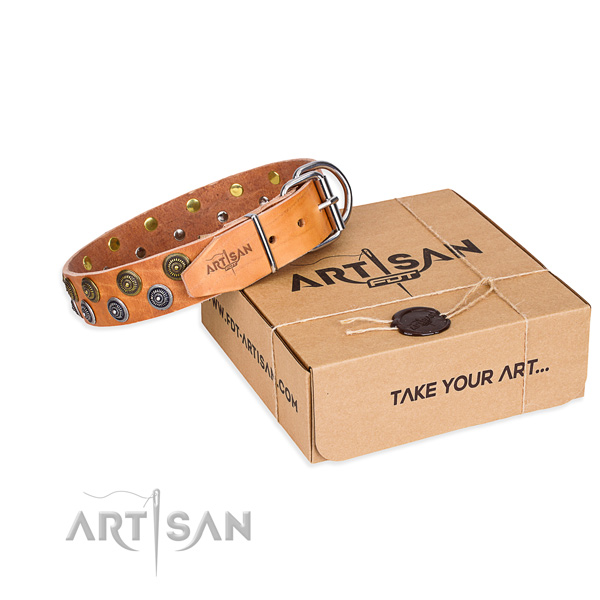 Full grain leather dog collar with studs for daily walking