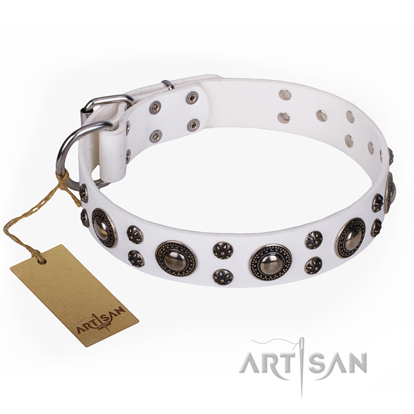 Remarkable full grain genuine leather dog collar for everyday walking