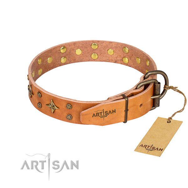 Daily walking leather collar with decorations for your canine