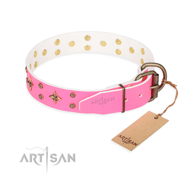 Stylish walking full grain leather collar with adornments for your canine