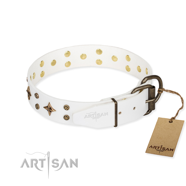 Everyday use natural genuine leather collar with decorations for your canine