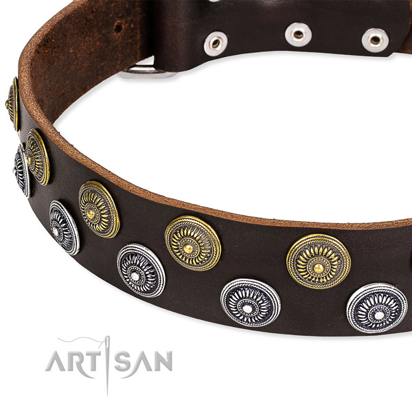 Genuine leather dog collar with unusual studs