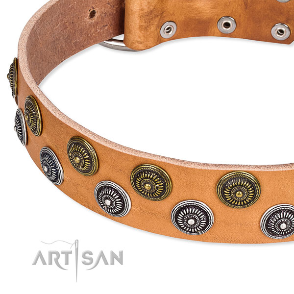 Genuine leather dog collar with unusual studs