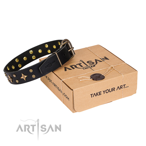 Adorned leather dog collar for walking